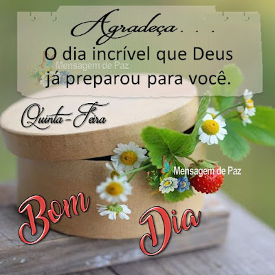 Agradeça... O dia incrível que Deus já preparou para você. Quinta-feira Bom Dia!