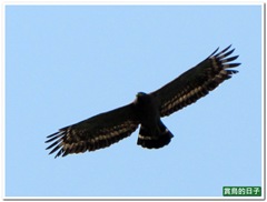20110313_111958_047_Shenkeng