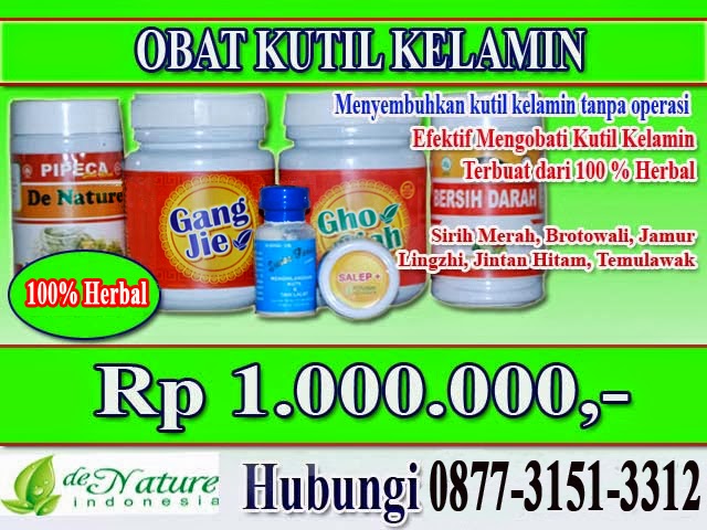 obat kutil kelamin