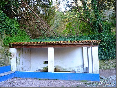 P1130559