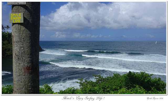 Honoli'i:  Enjoy Surfing Life!