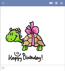 Turtle Happy Birthday