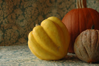 Autumn Gourds2