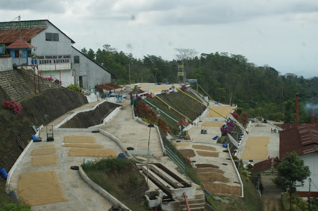 Kayumas Situbondo, Nuansa Alam Eropa