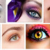 How to Apply Eye Makeup Step By Step?