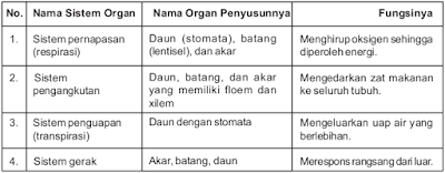 Sistem Organ Tumbuhan