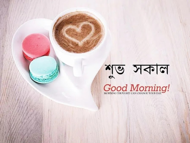 শুভ সকাল ছবি ও পিকচার ডাউনলোড | Good Morning Picture Download শুভ সকাল ছবি ও পিকচার ডাউনলোড | Good Morning Picture Download