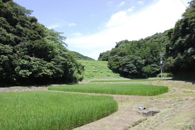 DSC 0282