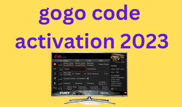 gogo code activation 2024