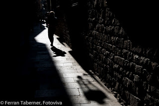 Ferran Taberner i Raset, Fotoviva