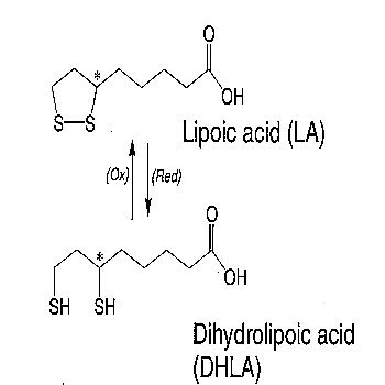 Acid lipoid acid lipoic