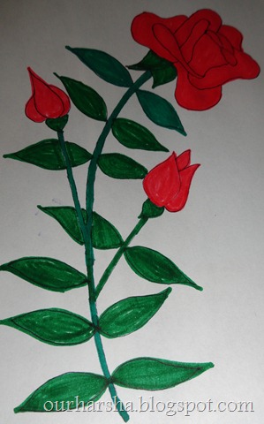 Red roses (1)