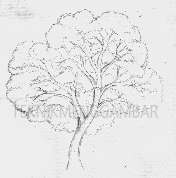  Gambar  Teknik Menggambar Pohon Setelah Sketsa  Bagian Kayu 