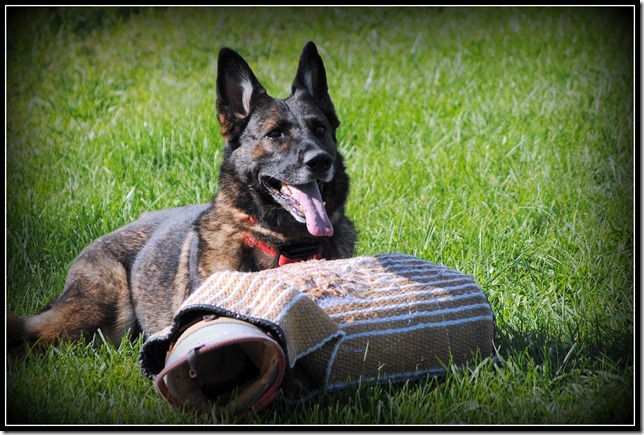 2012-08-18 Jake.Brita training.17