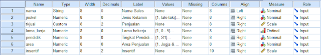 Data penjualan (tampilan variable view)