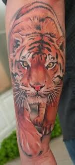 Fotos de Tatuagens de Tigre