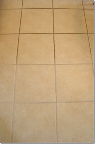 clean & dirty grout