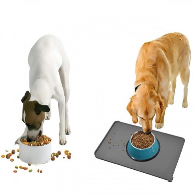 dog feeder bowl