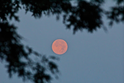 full moon, August 2013