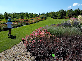 Rodzinne atrakcje na Dolnym Śląsku - Arboretum w Wojsławicach - podróże z dzieckiem. 