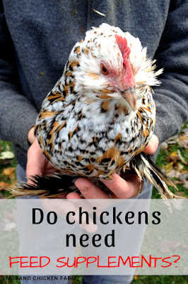 Chicken feed supplements