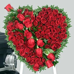 Valentines Day Rose Love day celebrates