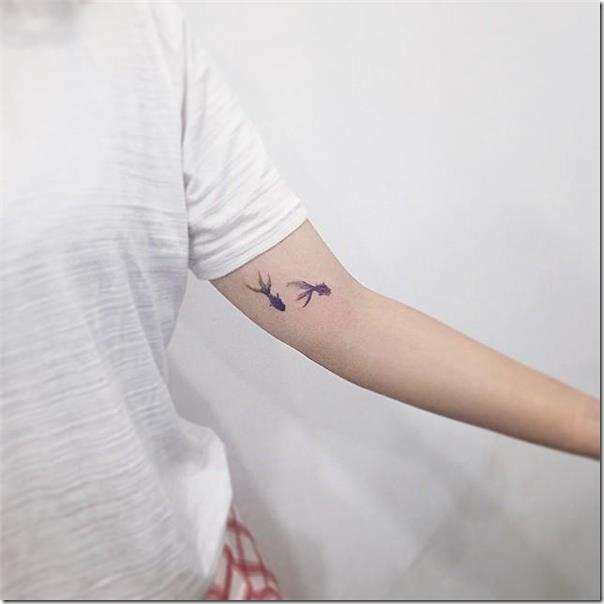 tmidos-los-peces-que-navegan-con-gracia-por-el-brazo