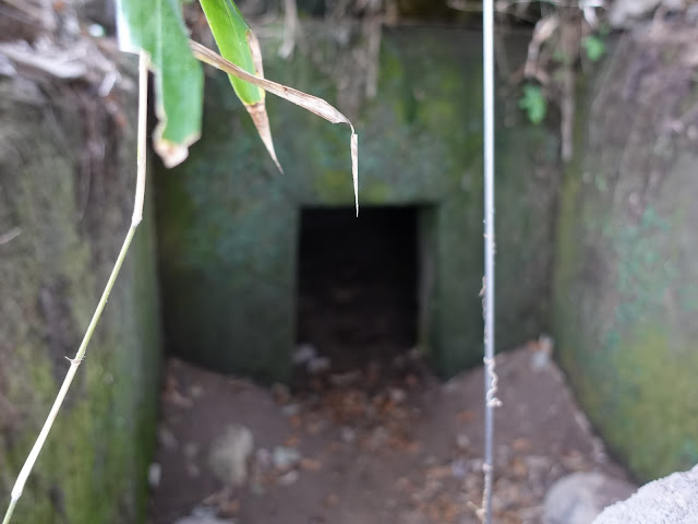 伯耆古代の丘公園の岩屋古墳