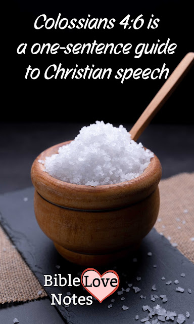 Colossians 4:6 is a one-sentence guide to Christian speech and it says our speech should be "seasoned with salt." This 1-minute devotion explains.