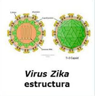 http://www.cdc.gov/zika/es/index.html