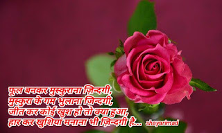 Rose day shayari in hindi