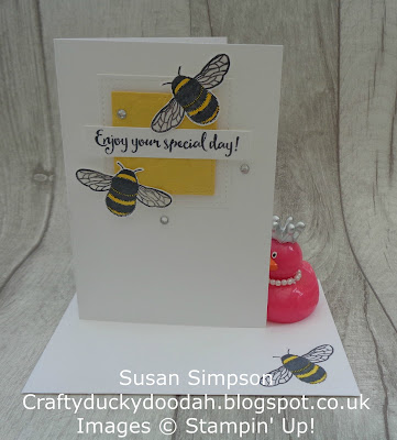 Stampin' Up! UK Independent  Demonstrator Susan Simpson, Craftyduckydoodah!, Dragonfly Dreams, July 2017 Coffee & Cards Project, Supplies available 24/7 from my online store, 