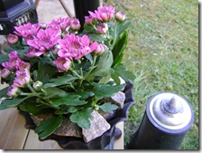 2011 110