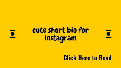 cute short bio for instagram