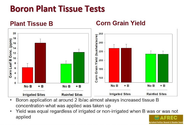 boron plant tissue analysis AFREC