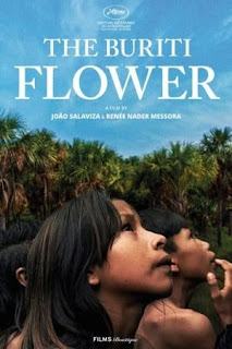 Review – A Flor do Buriti