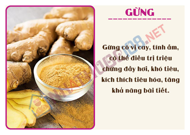 Gừng chữa đau dạ dày