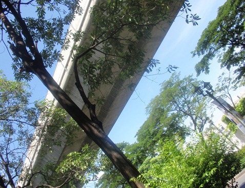 Bangkok 036