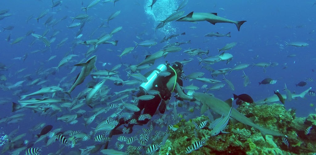 DCIM\102GOPRO