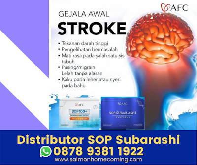 Pengobatan Stroke Di Bogor Dengan SOP Subarashi,