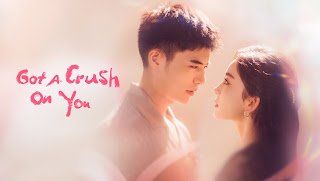 Got a Crush on You Hindi Dubbed