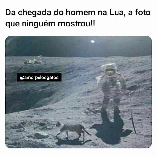 Memes engraçados