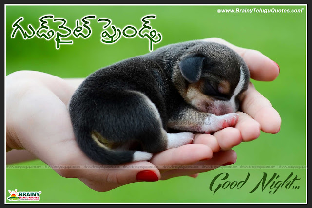 good night friends quotes in telugu-good night messages in telugu, nice good night thoughts, famous good night messages hd wallpapers