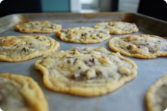 Vegan Chocolate Chip Cookies