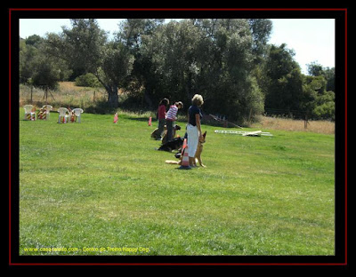 Centro de Treinos para cães no Algarve