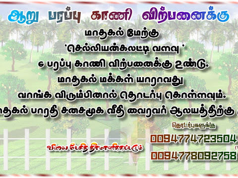 மாதகல் மேற்கு  "செல்லியன்கலட்டி வளவு " 6 பரப்பு காணி விற்பனைக்கு உண்டு..!