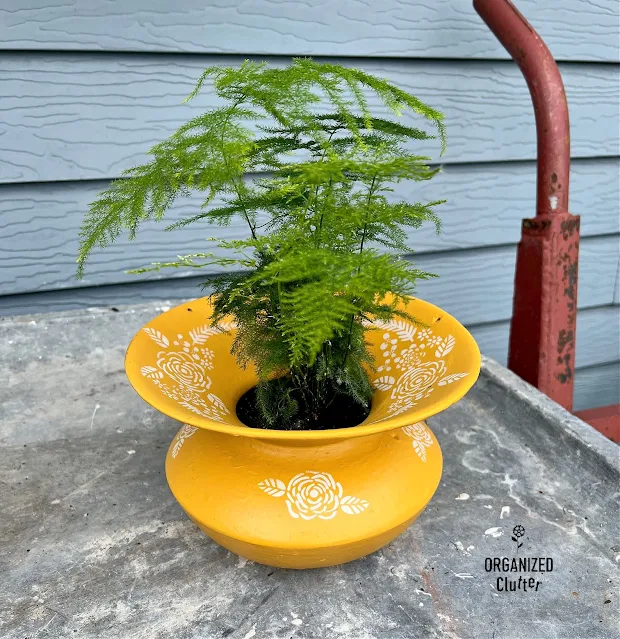 Photo of an old spittoon painted with Colonel Mustard paint, stenciled with a floral stencil, and planted with a fern.