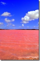 pink lake 1