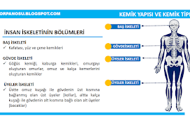 Spor Anatomisine Giriş 5