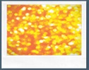 10 imambasori.com